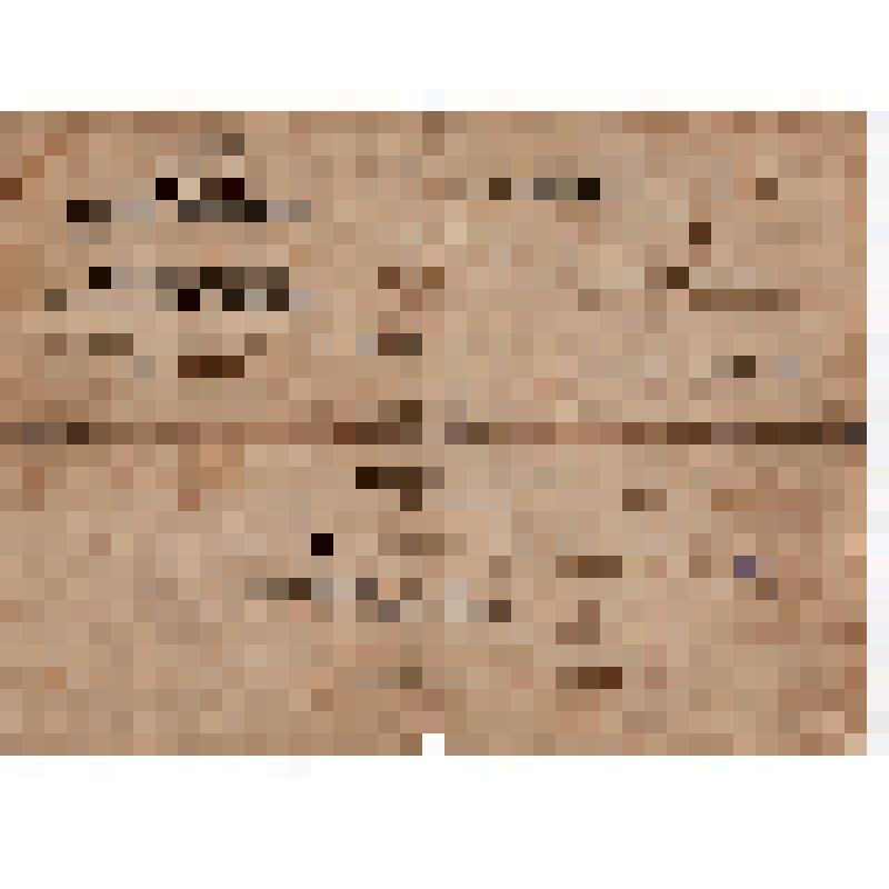 Удостоверение N1225 Ивченко М.М., откомандированного на Госуд. Петровский завод