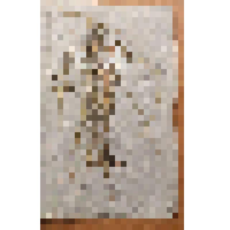 Гербарный лист. Метлица обыкновенная