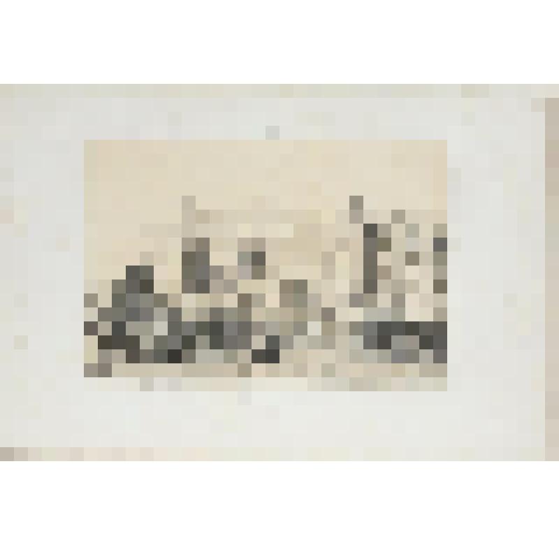 Литография. "Любек. Дворец Сената и Рыночная площадь."