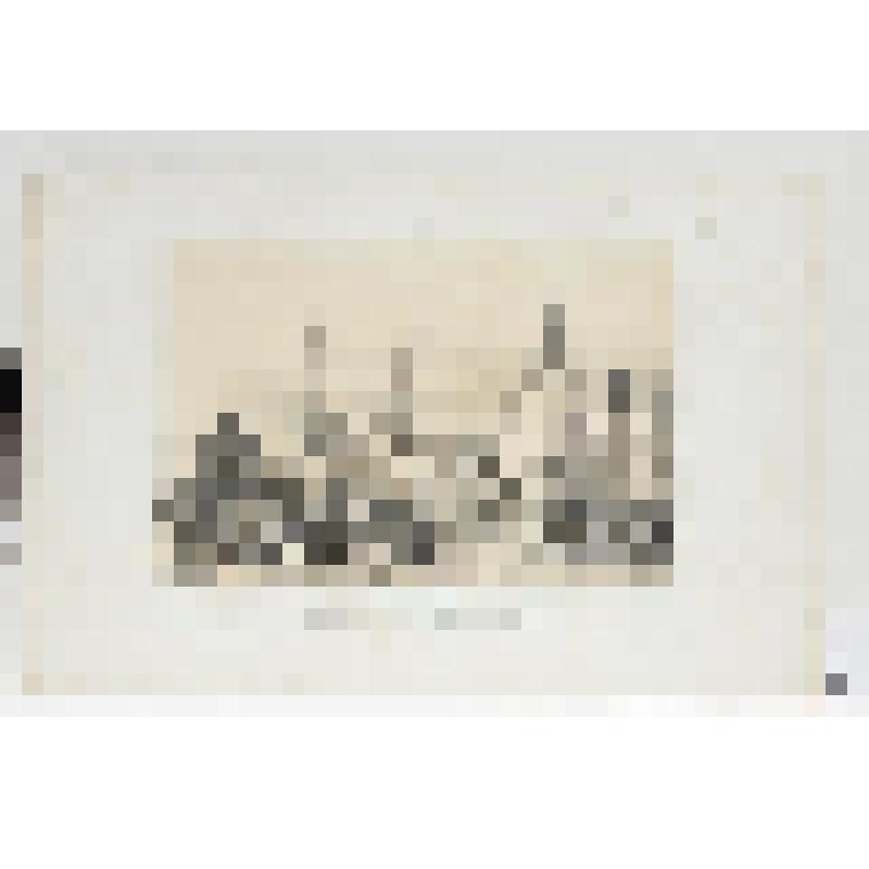 Литография. "Любек. Дворец Сената и Рыночная площадь."