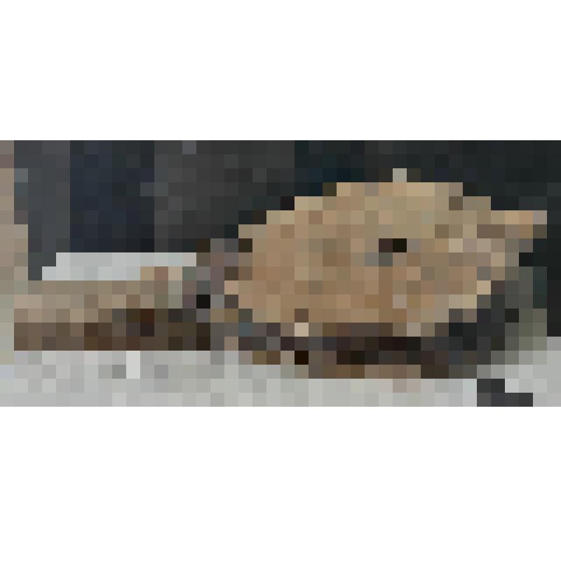 Мехи кузнечные