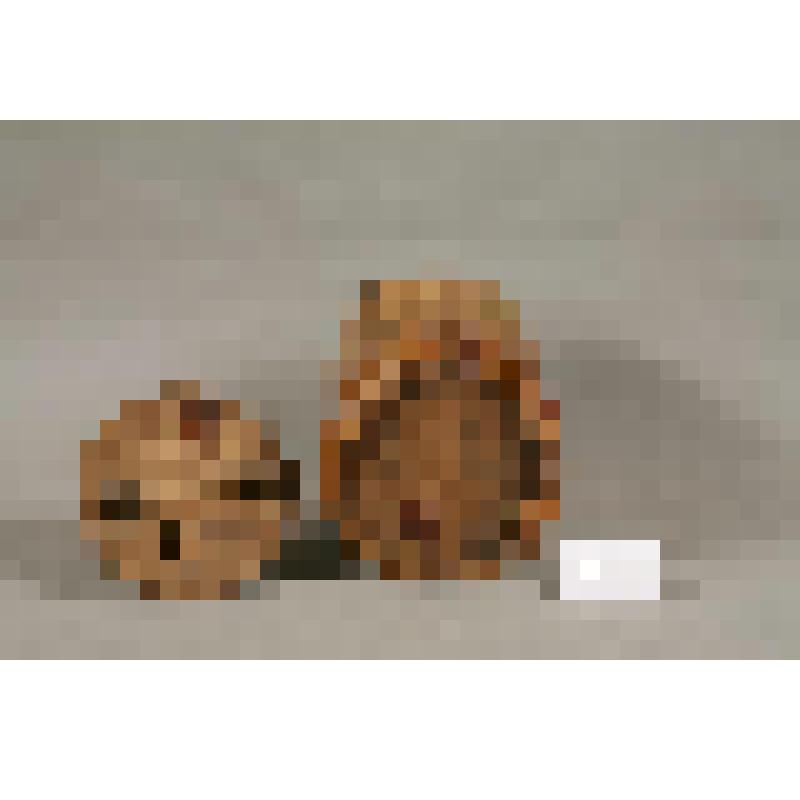 Крышка туеса