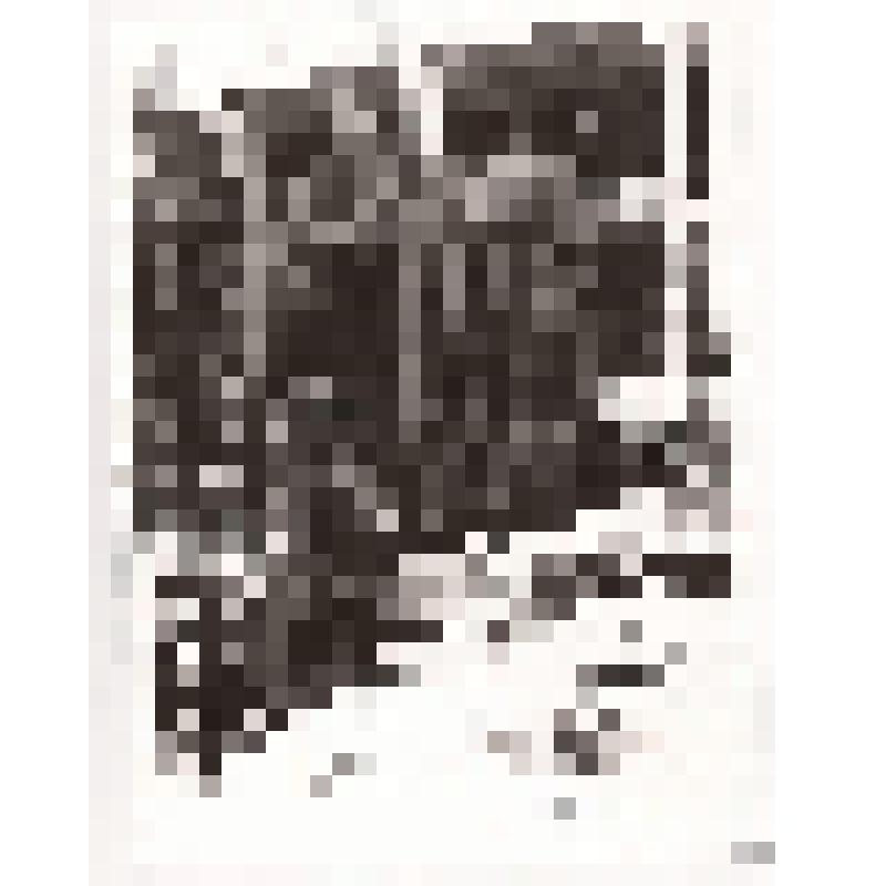 Фотография. Арматурные блоки здания 292 А
