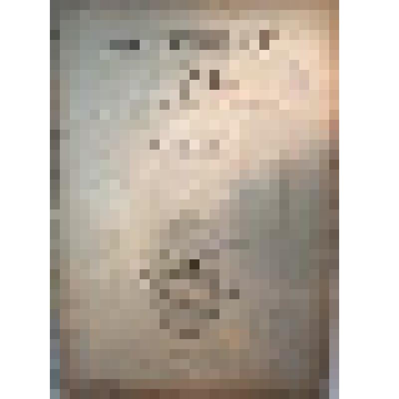 Charakteristische Details von ausgeführten Bauwerken : mit besonderer Berücksichtigung der von Hugo Licht publicierten Werke (Характерные детали). Альбом фототипий. Berlin. IV Band. Lfg. 4.5. Verlag von Ernst Wasmuth A.-G. 35-Markgrafenstrass-35