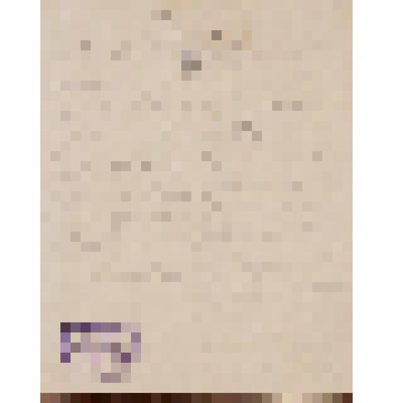 Катков М. Письмо - записка Островскому А. Н. с сообщением времени визита