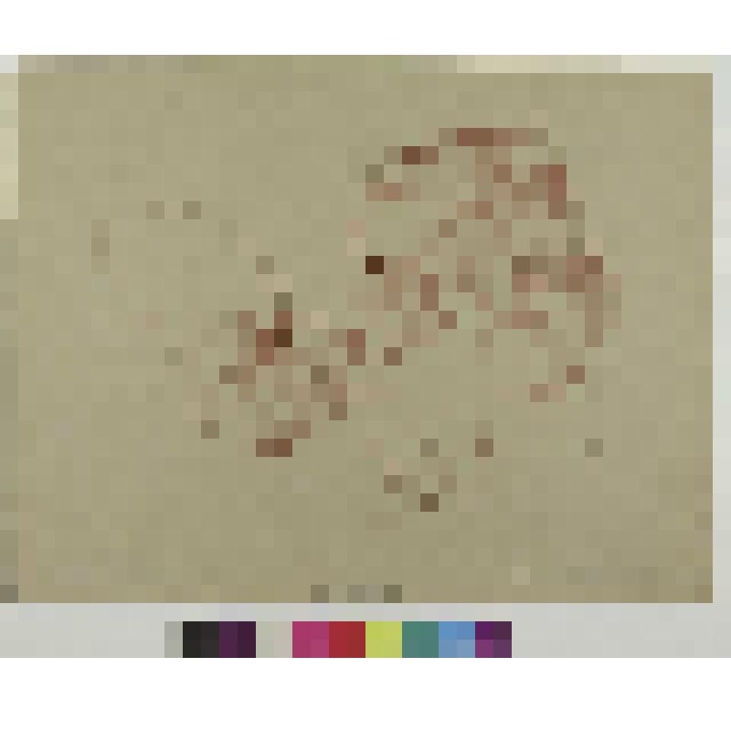 Мой сын, гравюра