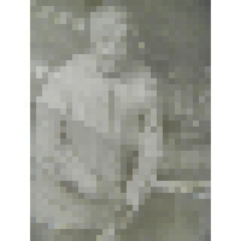 Лукин Филимон Григорьевич ЕрКМ-674