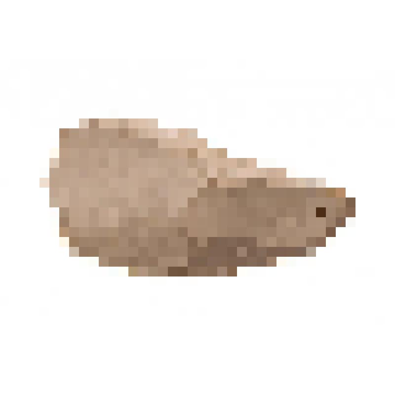 Отщеп. Ныйво 2