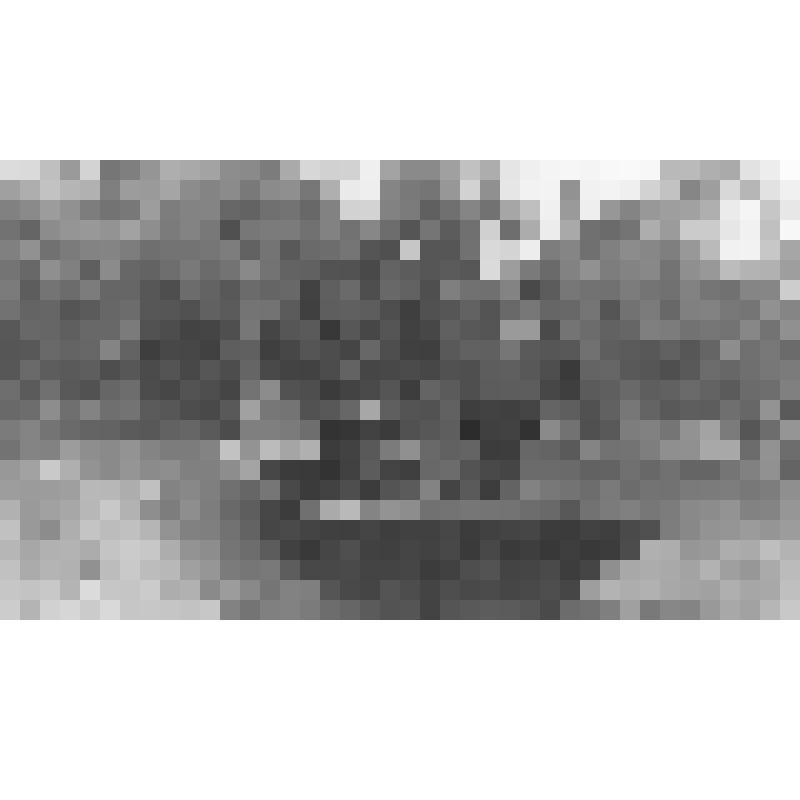 Тращенко П.Ф. на месте происшествия в хуторе Дугино Азовского района