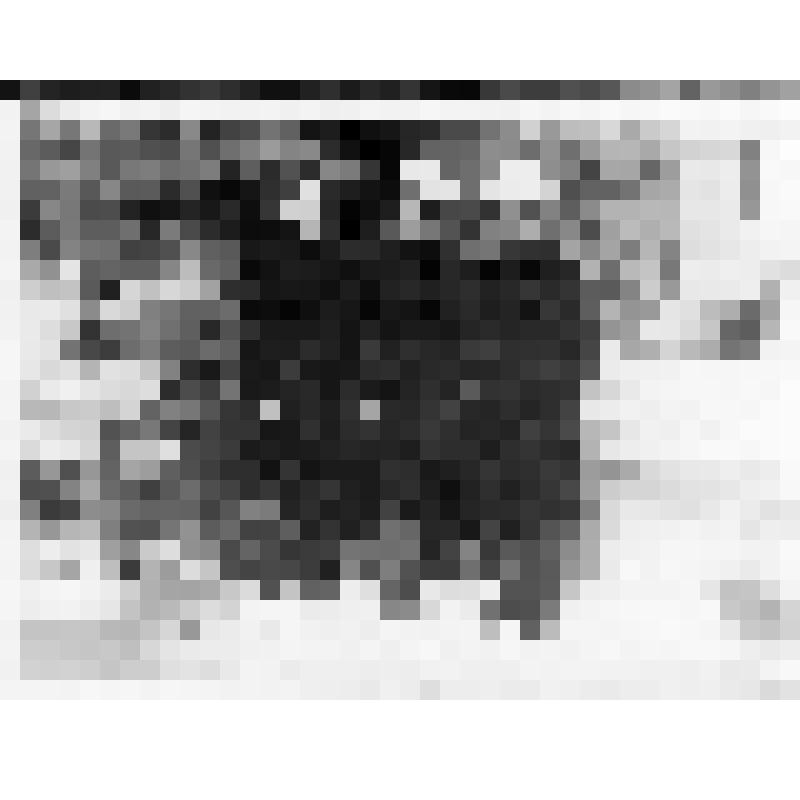 Вербицкая О.Г., начальник ПТО УНР-107, Нечепко Л.В., инженер ПТО УНР-107, Калашникова Л.А., старший инженер ПТО УНР-107, в Кисловодске