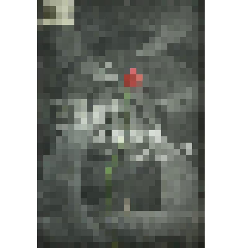 "В ночь лунного затмения" - М. Карим. Афиша.Эскиз