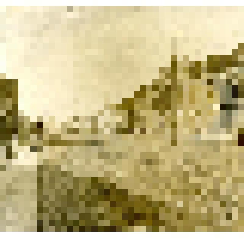 Фотография черно-белая. Череповец. Воскресенский проспект. Здание торговых рядов, Думы и Управы