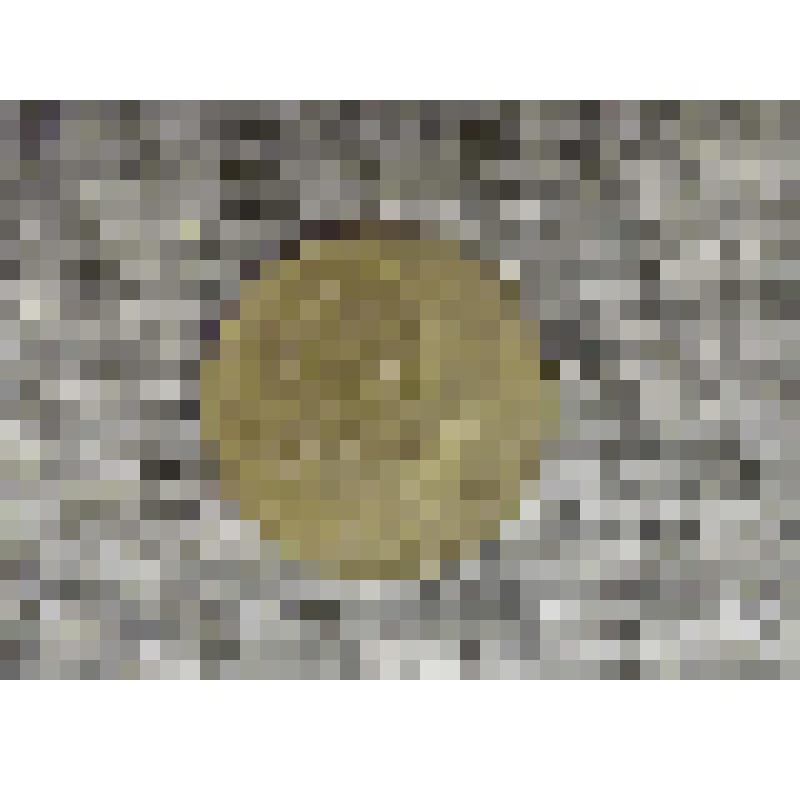 Монета. Пять копеек