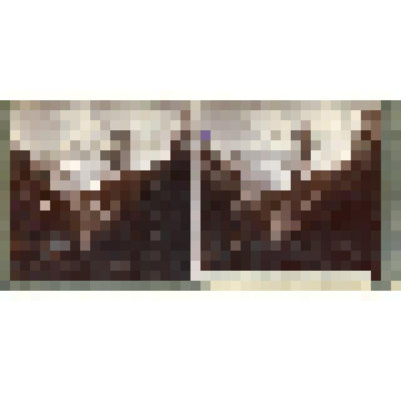 Карточка для стереоскопа «В верховьях реки Баксан (Терская область)». Из коллекции «Кавказ» с видами природы Западного Кавказа. Автор фото Н.Л. Минервин