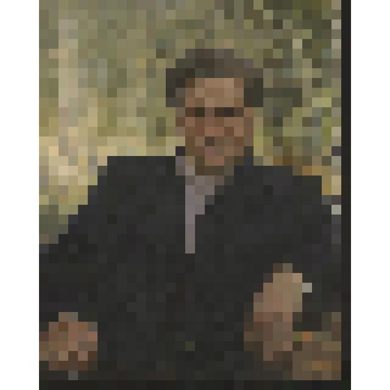 Портрет Горшкова И.С. Картина