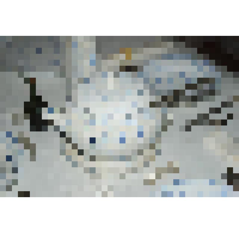 Предмет мемориальный. Супница. Из мелиховского дома А.П. Чехова