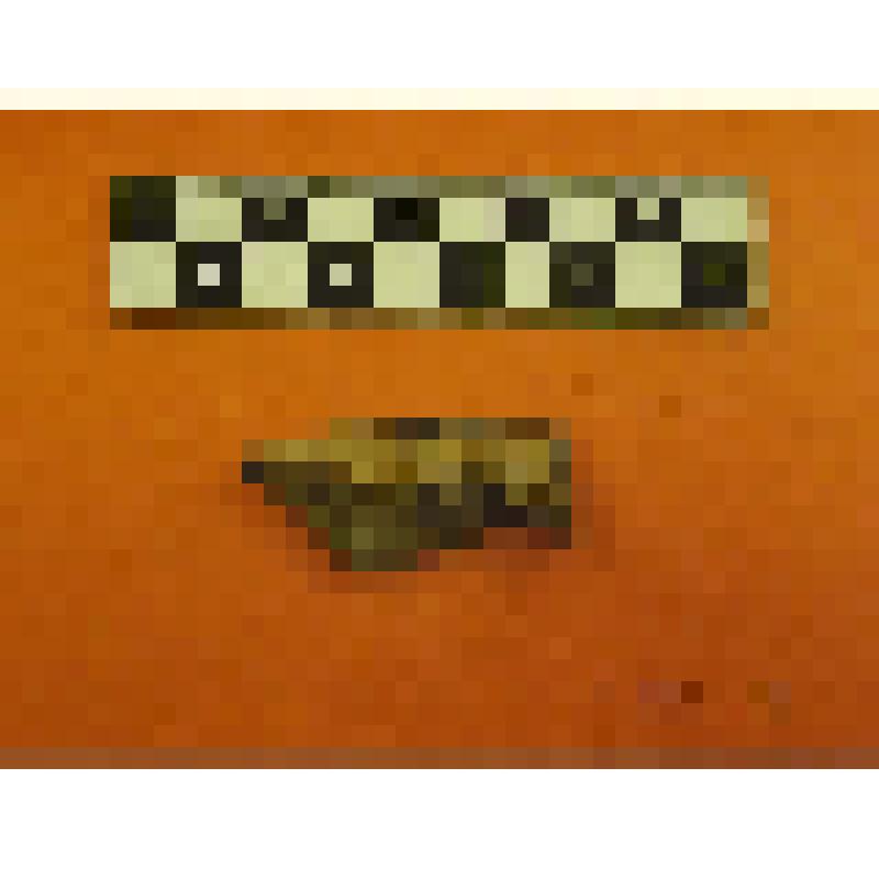 фрагмент каменного орудия