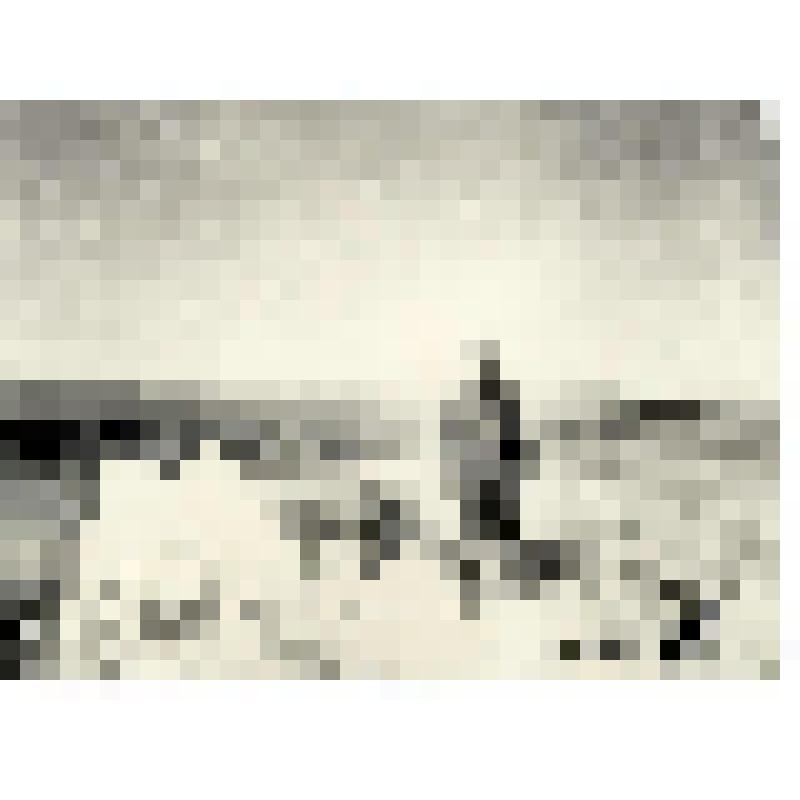 Г.Б. Жилинский летом 1941 г. в долине р. Пегтымель. Фотография