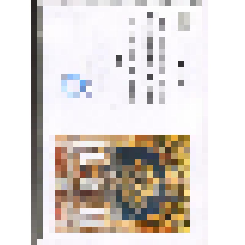 Документ. Научно-реставрационный отчет по реставрации и консервации настенной масляной живописи в Вознесенском соборе Новочеркасска. Том 3.    52 листа