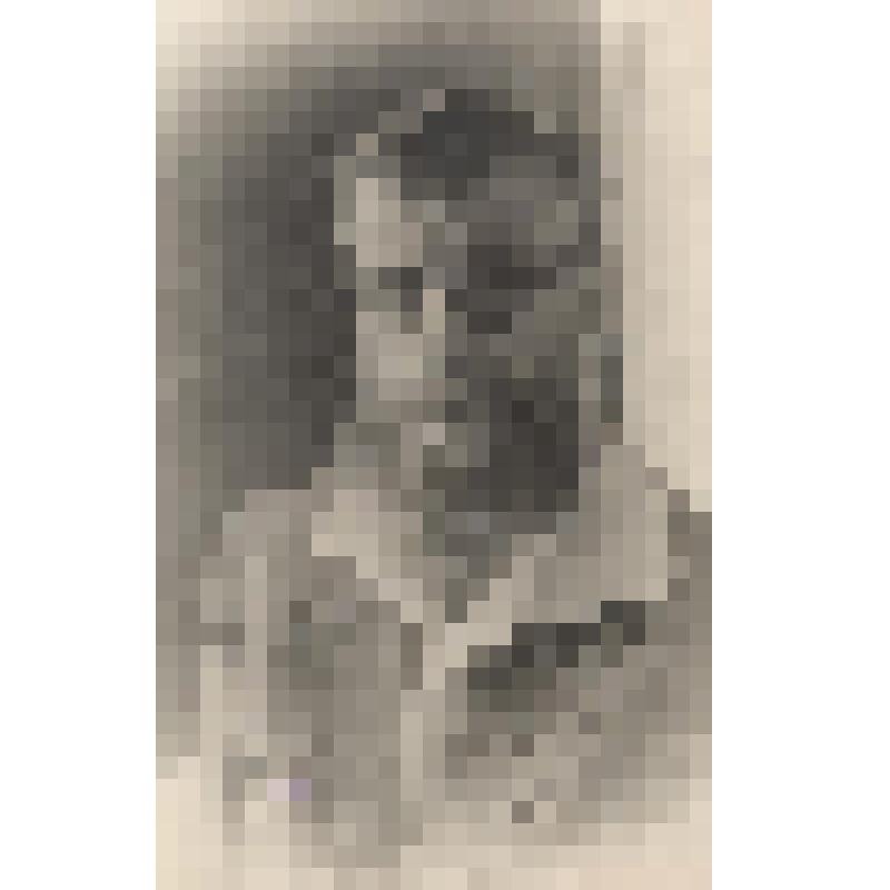 Фотография. И. Н. Переводчиков - профессор, заслуженный деятель науки РСФСР, заведующий кафедрой дерматовенерологии Астраханского медицинского института с 1932 по 1961 год