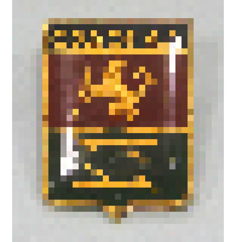 Значок "Судогда"