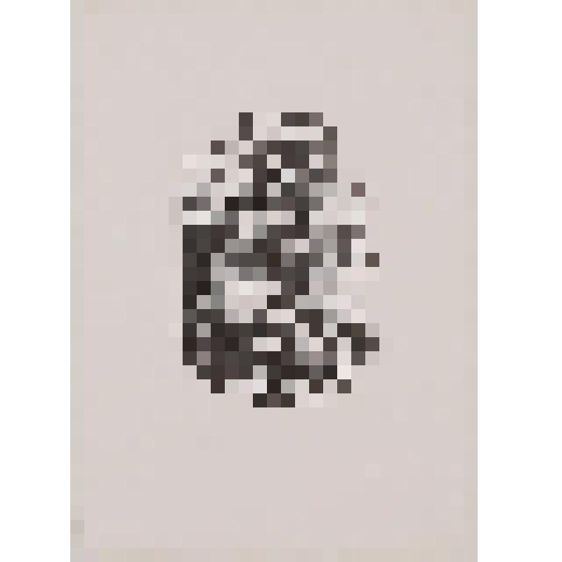 Книжный знак Олава Вихури. Экслибрис