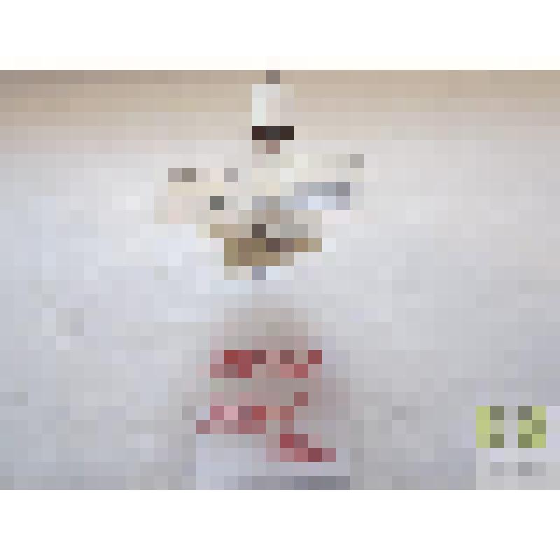 Острощуп южный  (Acupalpus meridianus L.)