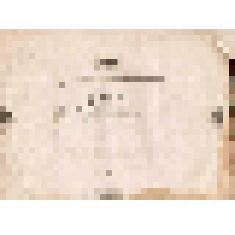 Телеграмма № 310 в г. Чердынь В. Н.Алину от Могильникова из Челнов, 19.09.1884 г