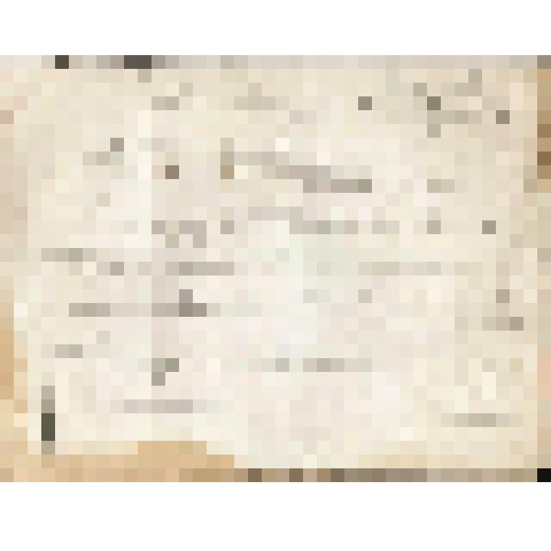 Телеграмма № 310 в г. Чердынь В. Н.Алину от Могильникова из Челнов, 19.09.1884 г