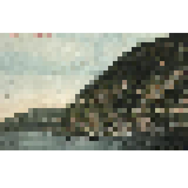 Открытка. Цв. Волга. Жигули