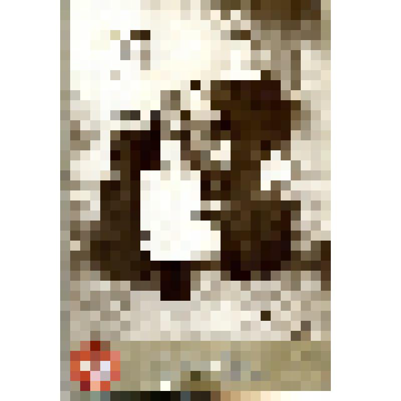 Фото на паспарту