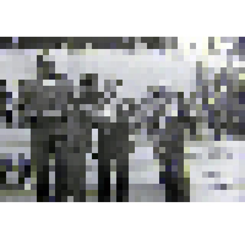 Негатив. Присуждение звания "Почетный гражданин Соликамска" Кужильному В.В. на празднике 50-летия советского калия