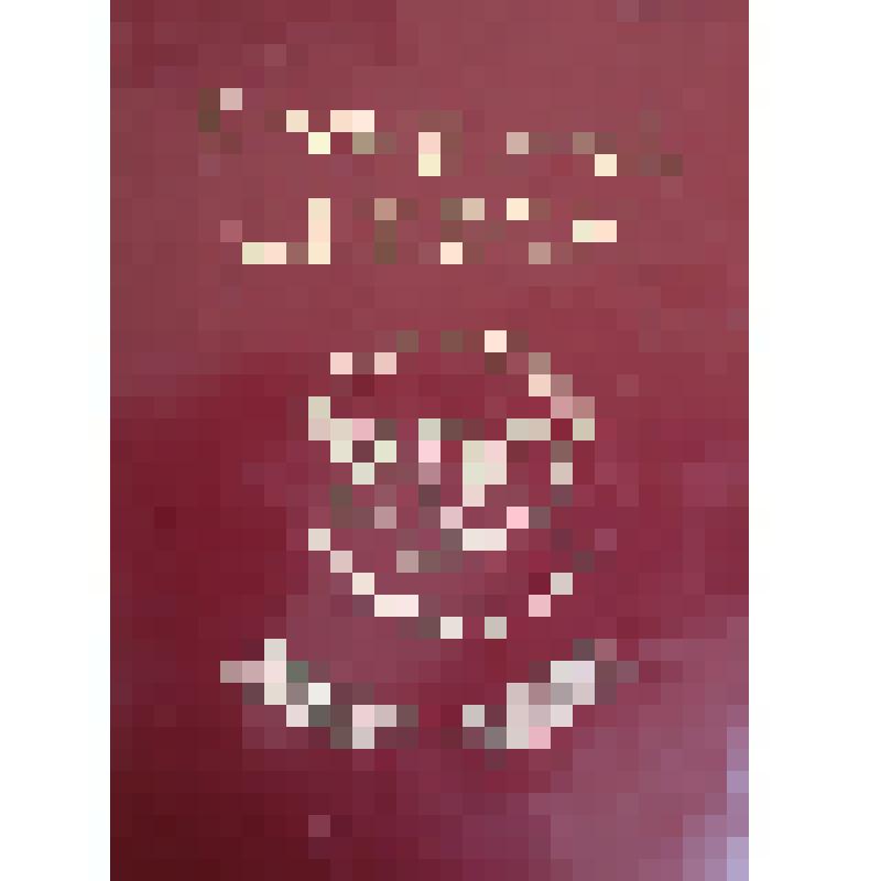 Диплом заместителя Председателя Правительства РФ В. Н. Хлыстуна Емельянову В. А., главному агроному СПК «Русь» за многолетний и добросовестный труд