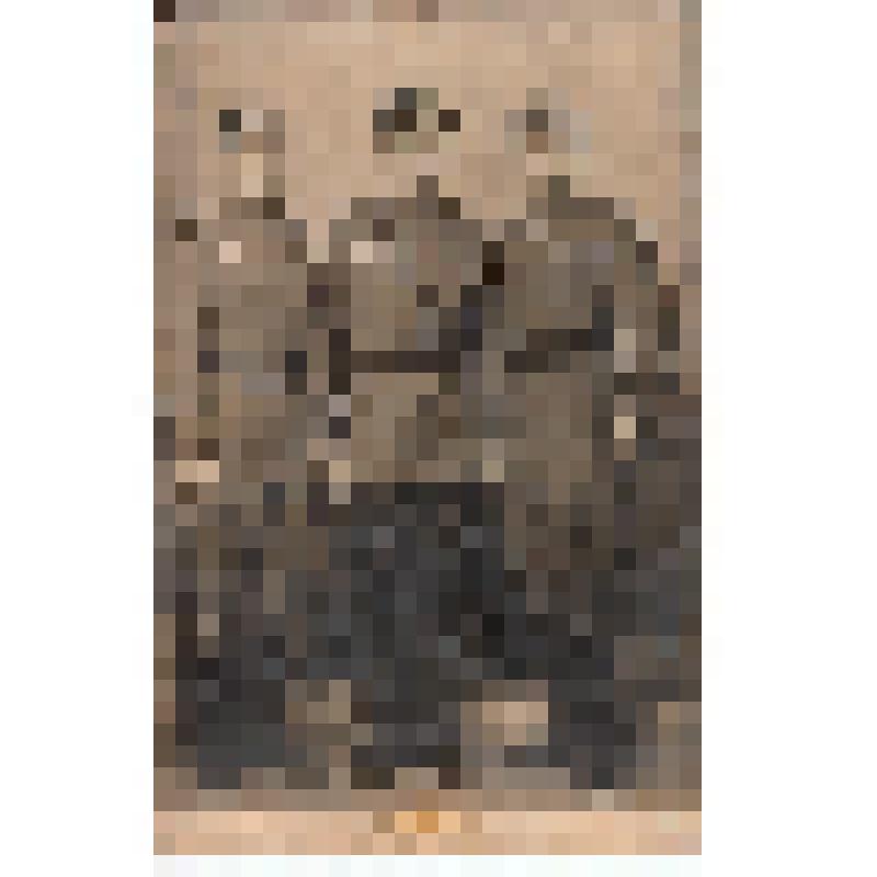 Ф/чб. Бойцы 148-й стрелковой дивизии: Харченко  М.С. с двумя однополчанами. 1945