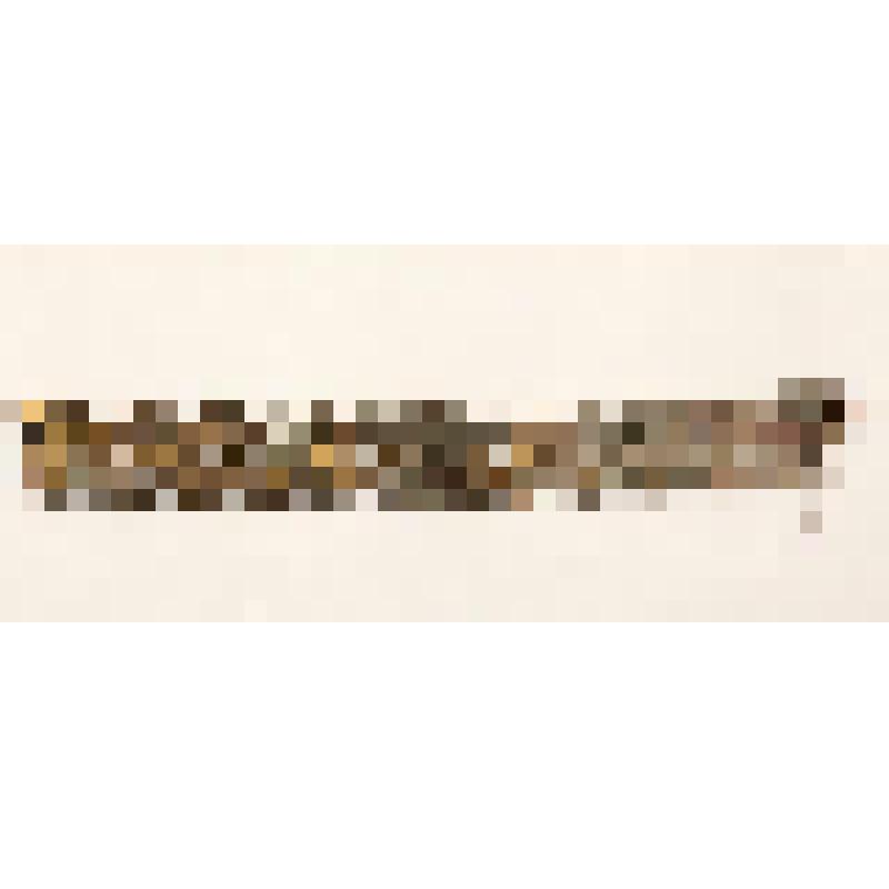 Филенка от иконостаса (фрагмент)