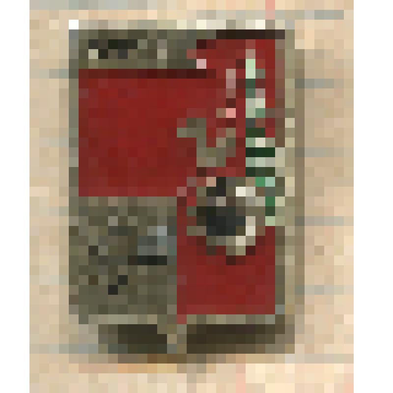 Значок нагрудный с изображением герба г.Кирова. Из коллекции по теме "Геральдика"