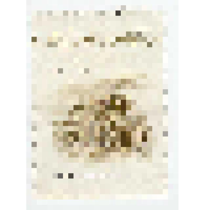 Купон к марке «К 100-летию В.И. Ленина», Уфа