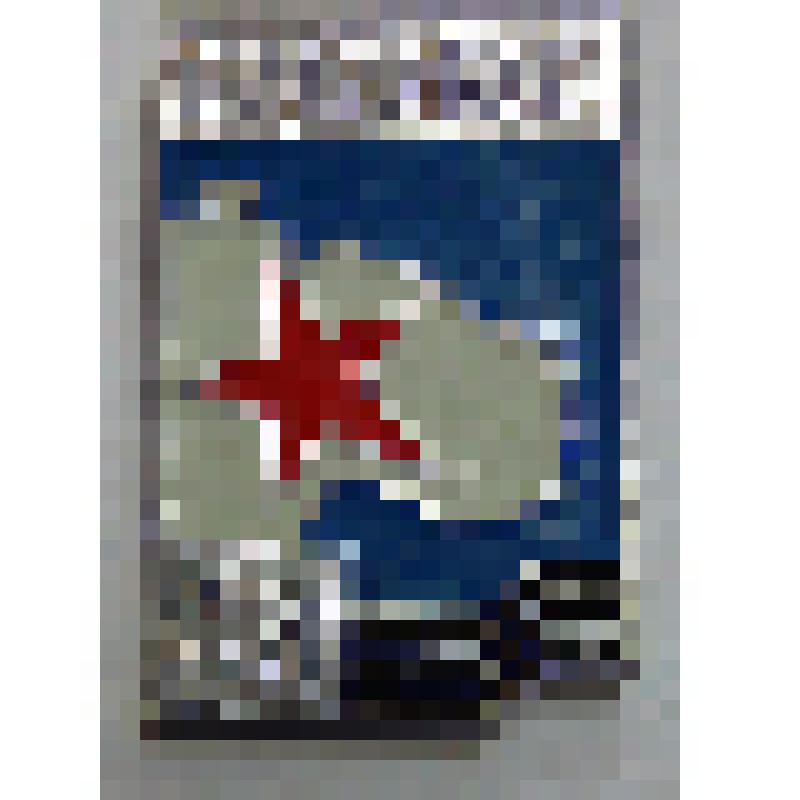 Значок «45. 1941-1944» с изображением Кольского полуострова