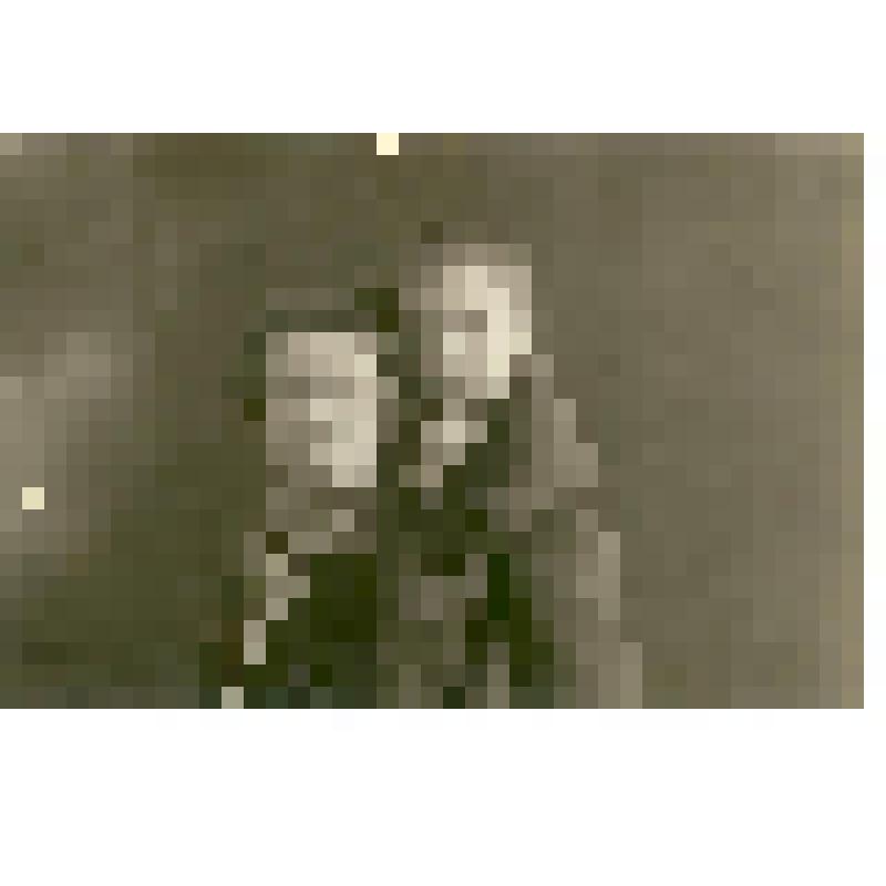 Фотография. Полущева Лидия Михайловна с сыном Вадимом, из коллекции материалов о Полущеве Федоре Николаевиче, враче-гинекологе, преподавателе СМИ, организаторе роддомов в Сталинском  (Заводском) и Фрунзенском районах г. Саратова, участнике Великой Отечест