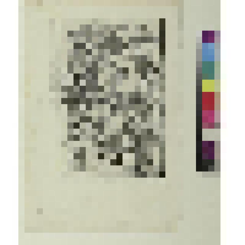 Портрет Хуана де Вальверда, гравюра