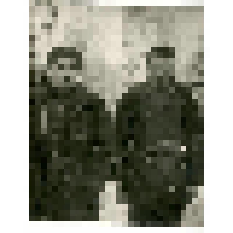 Фотография. Типы тунгусов в уроч. Няльгя