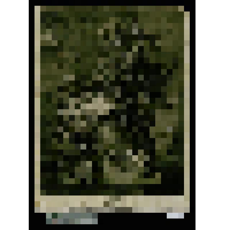 Натюрморт: букет цветов в вазе