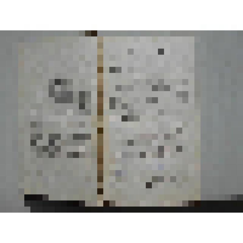 Guide des voyageurs en Europe, , contenant 1. Un apercu statistique de I' Europe...; 2. Des Instructions sur la maniere de voyager...3. L' Itineraire, donnant I' etet general des Postes et Relais...par M. Reichard....T. 2. - Dixieme edition...- A Paris, 1