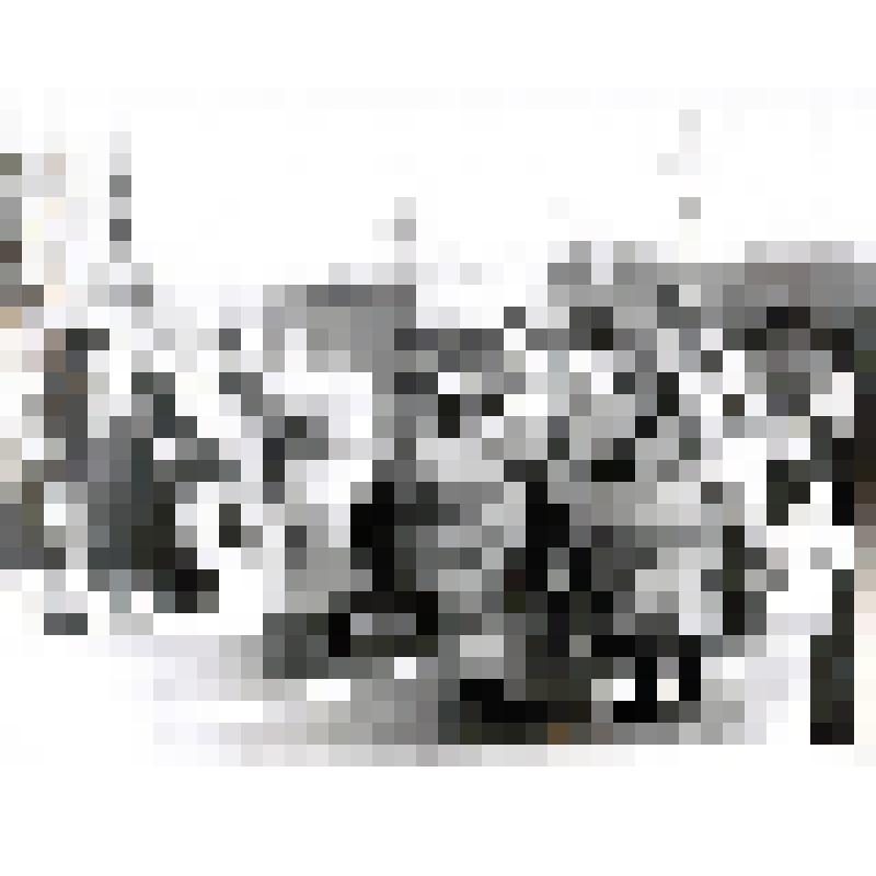 Фотография сюжетная