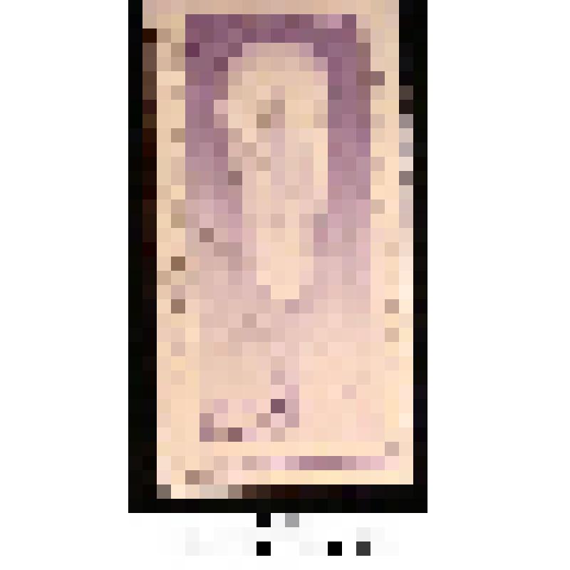 Марка, номиналом 20 копеек. Серия: Авиапочта. Полет стратостата «СССР-1»