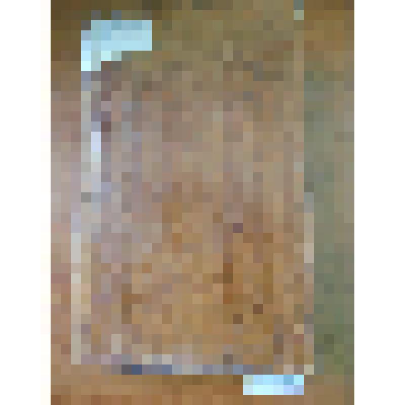 Книга. "История Донского войска. Описание Донской земли и Кавказских минеральных вод". Часть вторая. Владимира Броневского