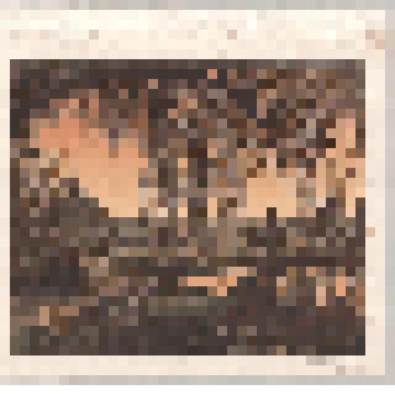 Лето