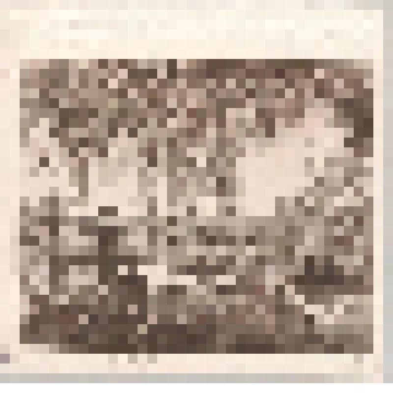 Лето