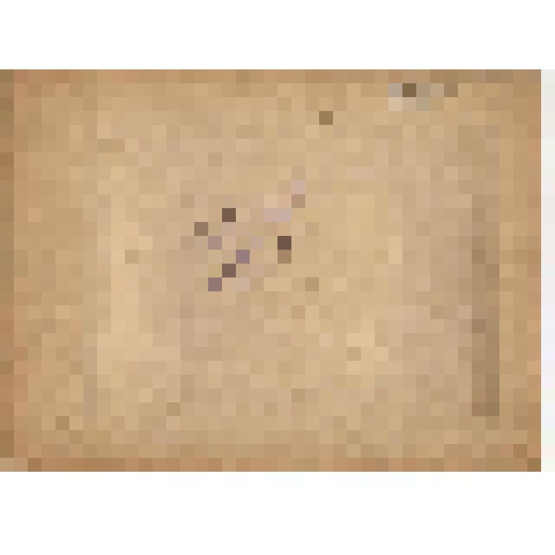 Фотография. Коллектив Будогощской средней школы