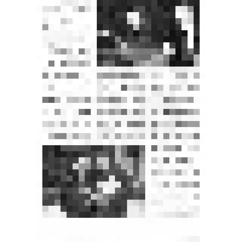 Документ. "Кандидат в депутаты в Государственную думу по 99 Всеволожскому избирательному округу Невзоров Александр Глебович"